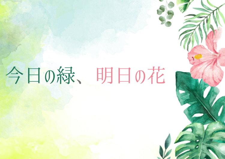 今日の緑、明日の花